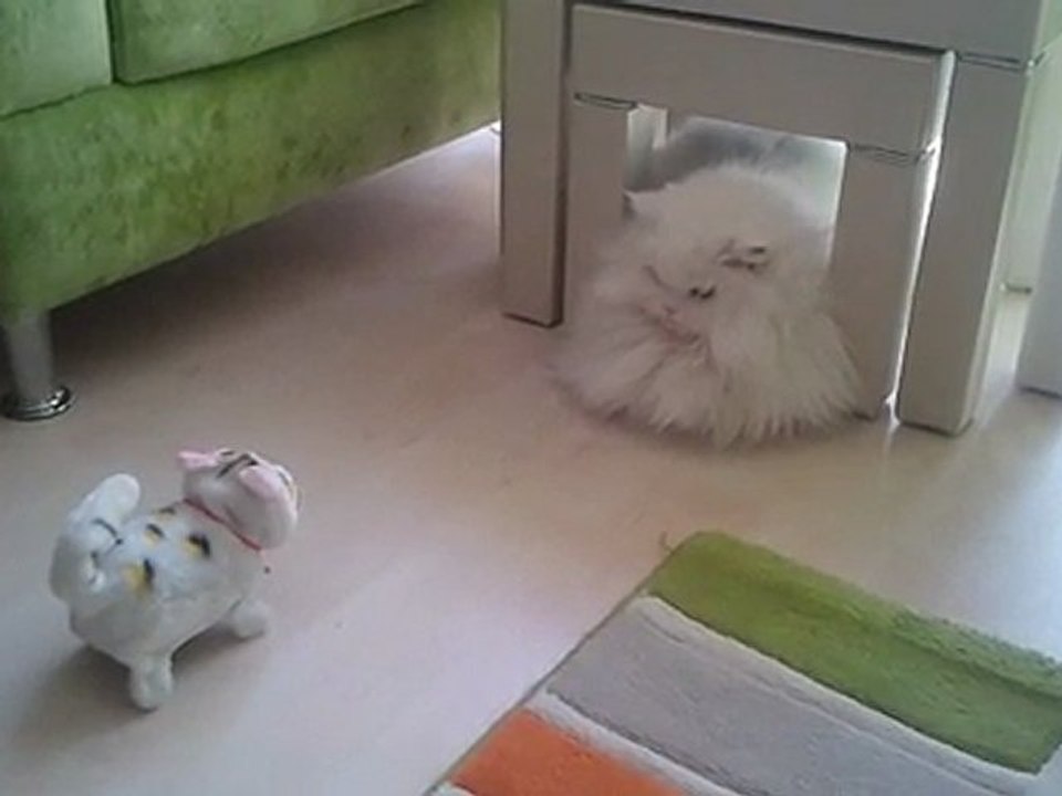 Hanım ve Oyuncak arkadaşı...