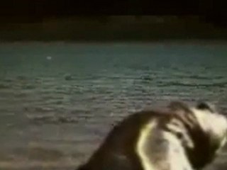 Walking With Monsters: TF2 Edition, Part 3