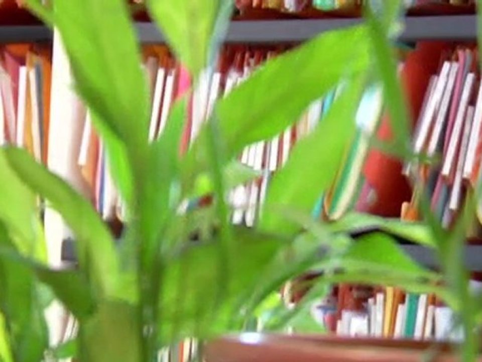 Edinburgh Accountants Discuss Tax and Accountancy