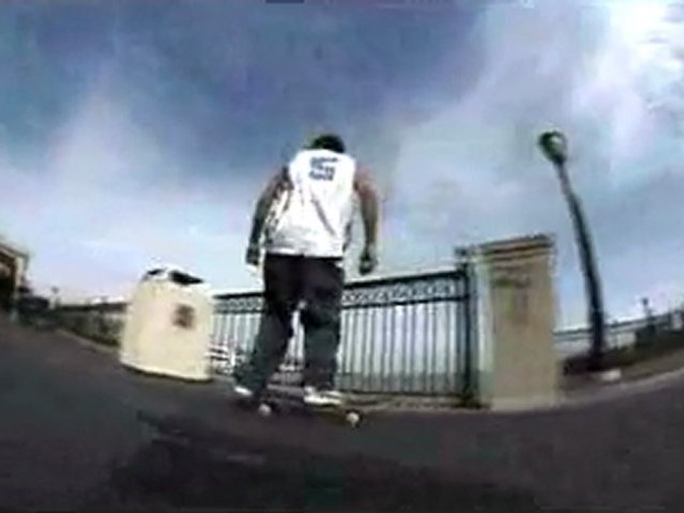 western edition skates it