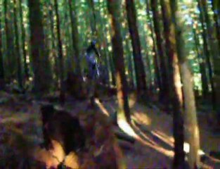 Calvin Taylor, bunch