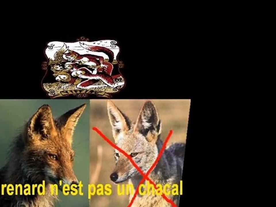 Le Renard