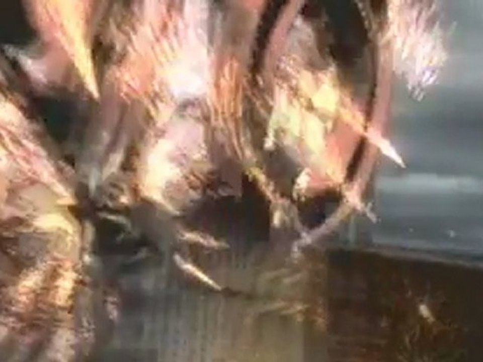 sky captain  Bande Annonce