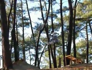 spinboard video -spin skateboards-