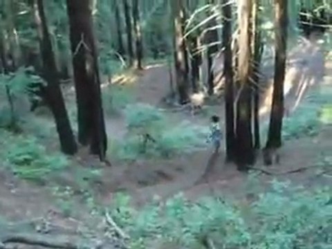 JJ mtb BIG Freeride dropx3