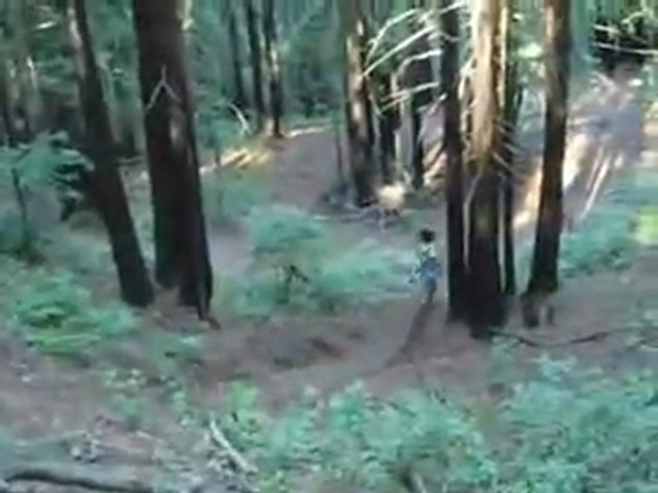 JJ mtb BIG Freeride dropx3