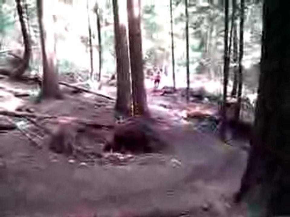 That was the craziest thing I've ever seen!