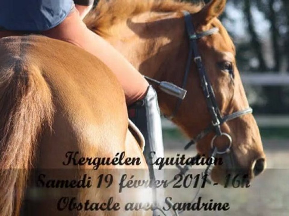 Kerguélen - Samedi 19 Février 2010 - 16h