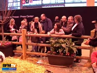 Visiter le salon de l'Agriculture en famille