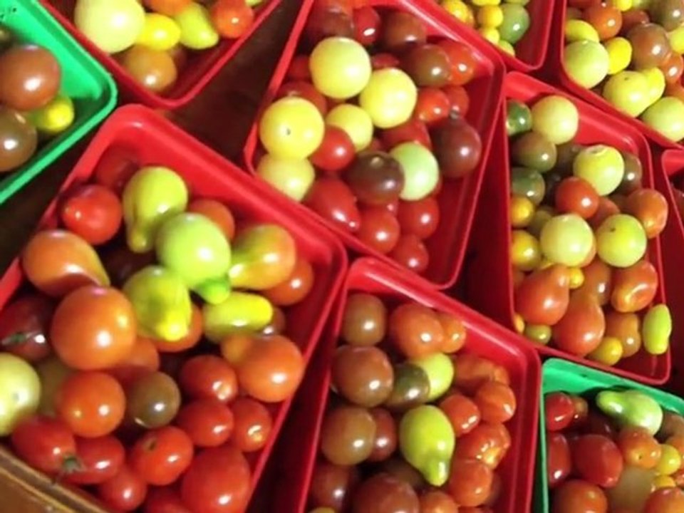 Marché Jean Talon - Montréal, QC