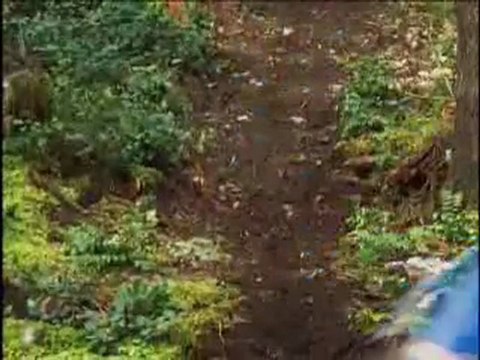 freeride trails