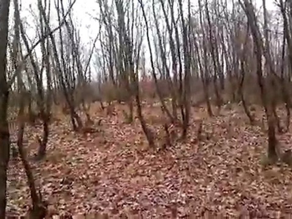 Sezon Finali  Çulluk Avı