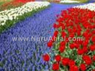 Mahmut Durgun İlahe illallah--www.nuruahlal.com