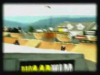 Matt Hoffman and Dave Mirra