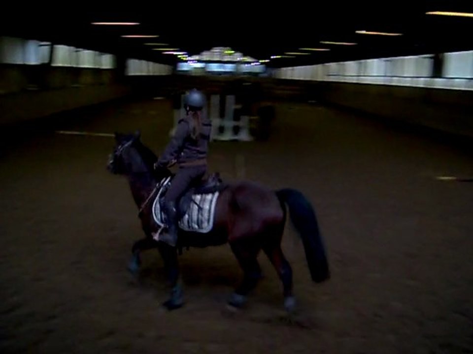 Le 19.02.11, Parcour de barre au trot.