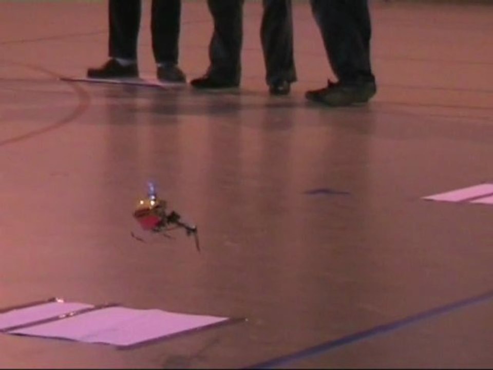 Gymnase des Toupets le 12/02/2011 Christophe