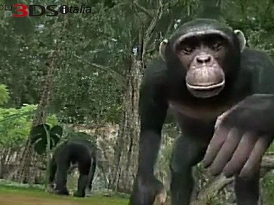 Animal Resort - Demo Movie - Nintendo 3DS Italia