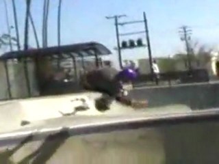 Tony Hawk and the Bones Brigade