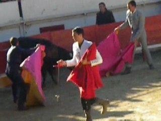 Corrida : Graine de toréros 2010 Générac... L'HORREUR !