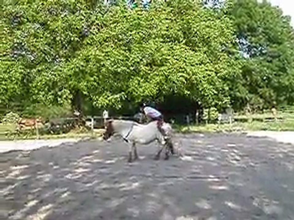PICT0001