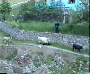 Kurtoğlu köyü Gümüşhane 5