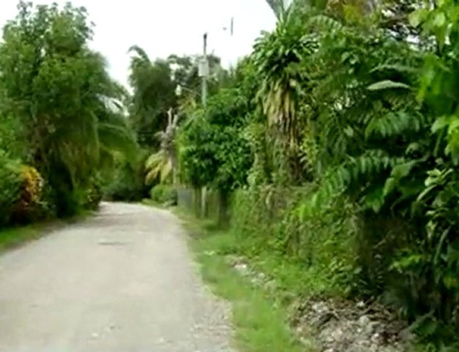 Costa Rica 2006