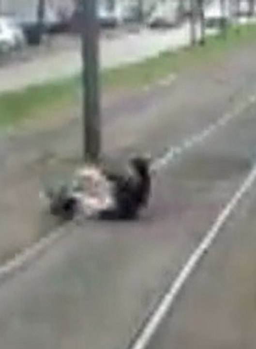Chute drole
