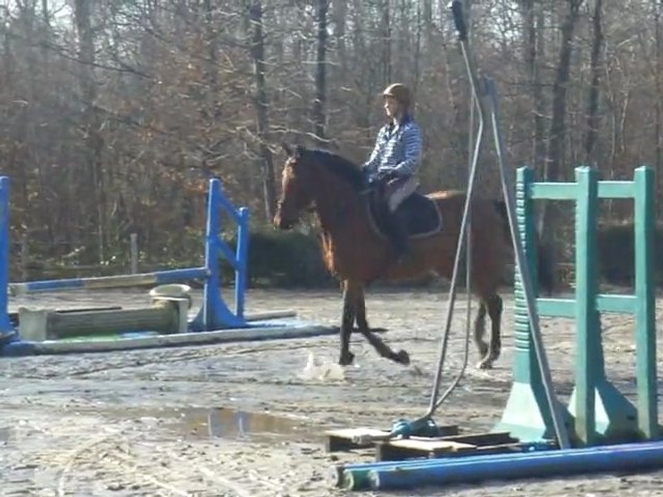 Rhapsoqy & Law Ka