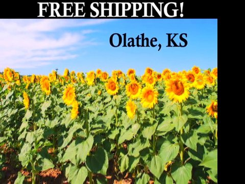 Clawfoot Tubs | Bathtubs | Olathe, KS