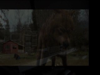 twilight 2 jouer au piano à ma façon