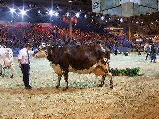 Action au salon de l'agriculture 2011 (2)