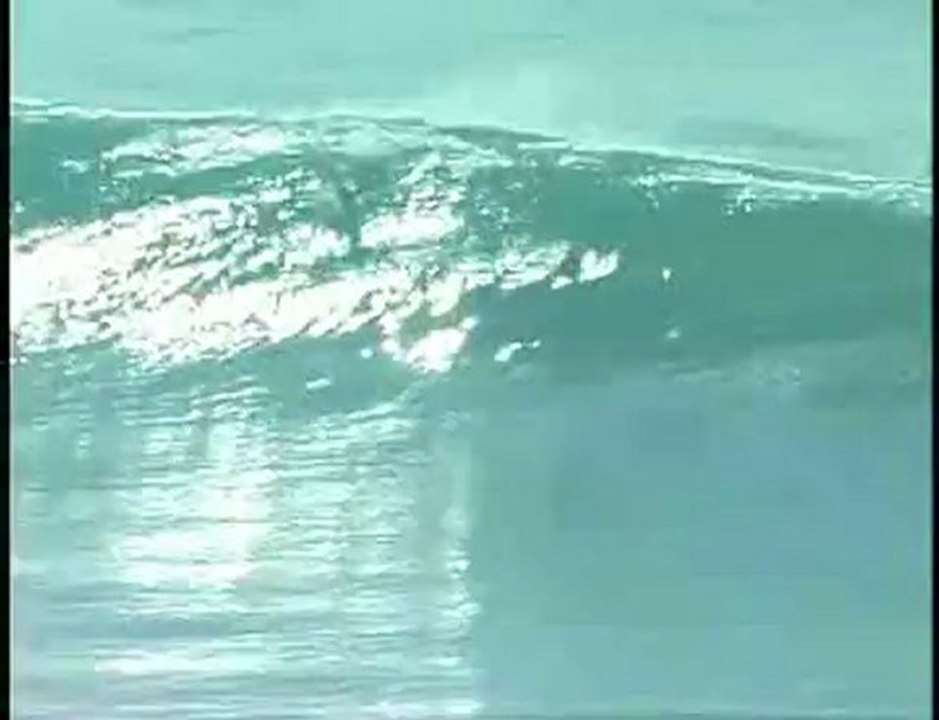 close out barrels at blacks