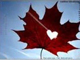 JusterBrooks - SensizLık Başıma Dert oLdu