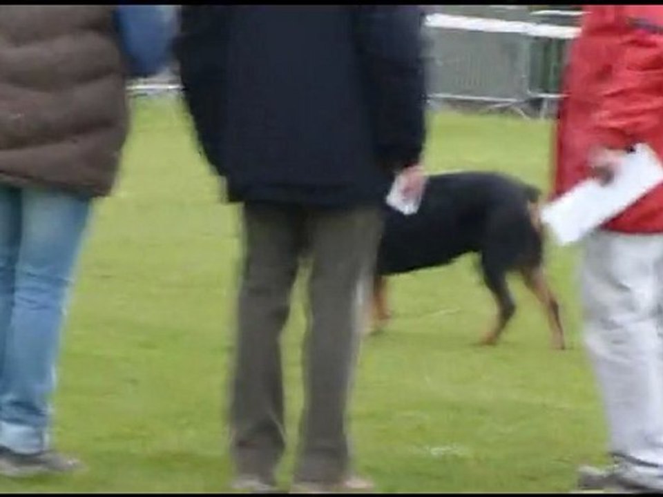 Taïga Obé Sommerviller - 190211