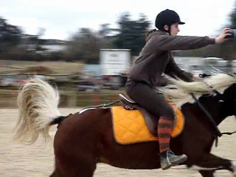 la crazy team & fireflies a mangalix