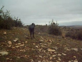 Hiking Around Ifrane