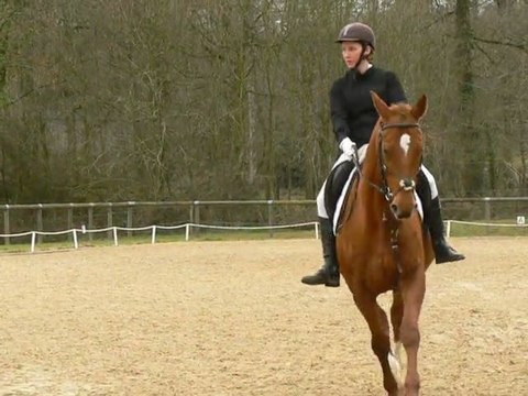 Oriane sur Hassan-20.02.2011.dressage club 3-Laval-