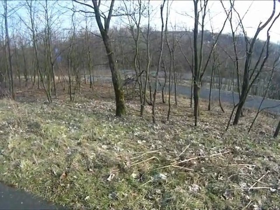 bergkamen