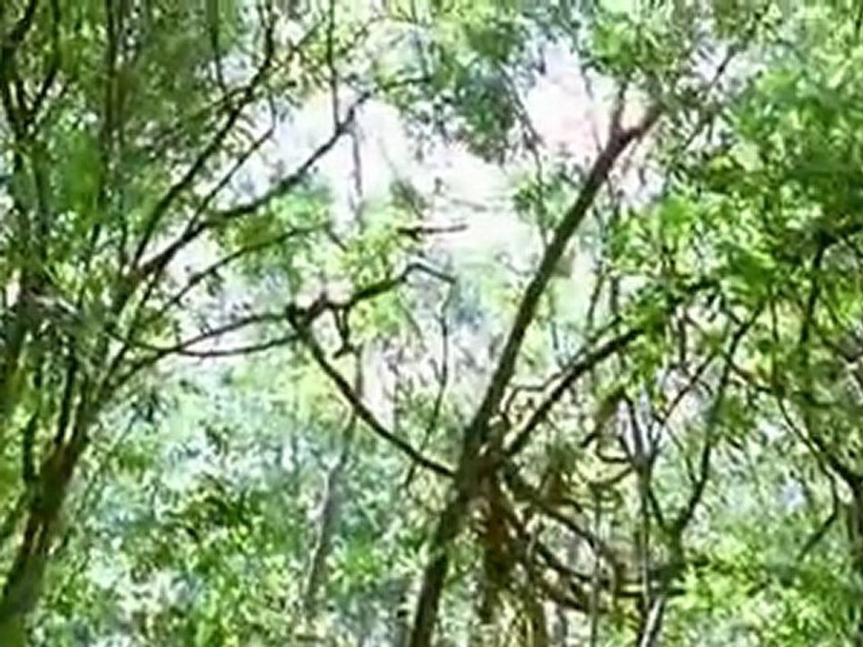 Agyaat -  part 9