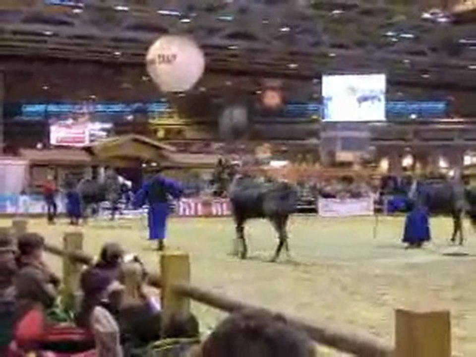 animations équestres au salon de l'agriculture !!!!!!