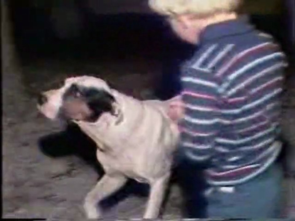 10 A/N WoF promo / Mr. Boo w/ Miles O'Brien 1986