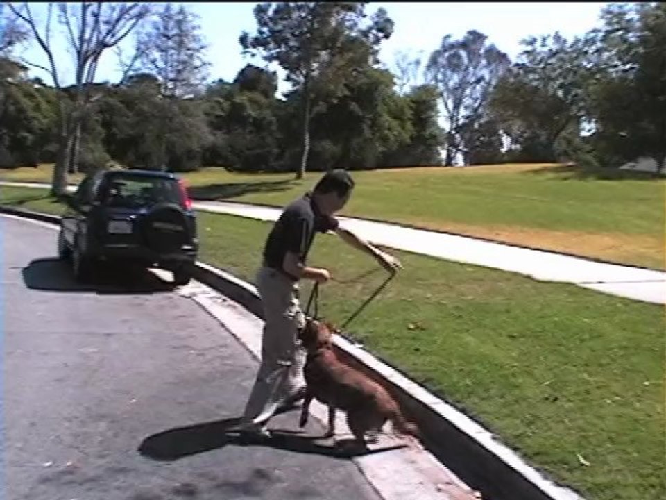 Boundary, Perimeter and Property Training Trailer