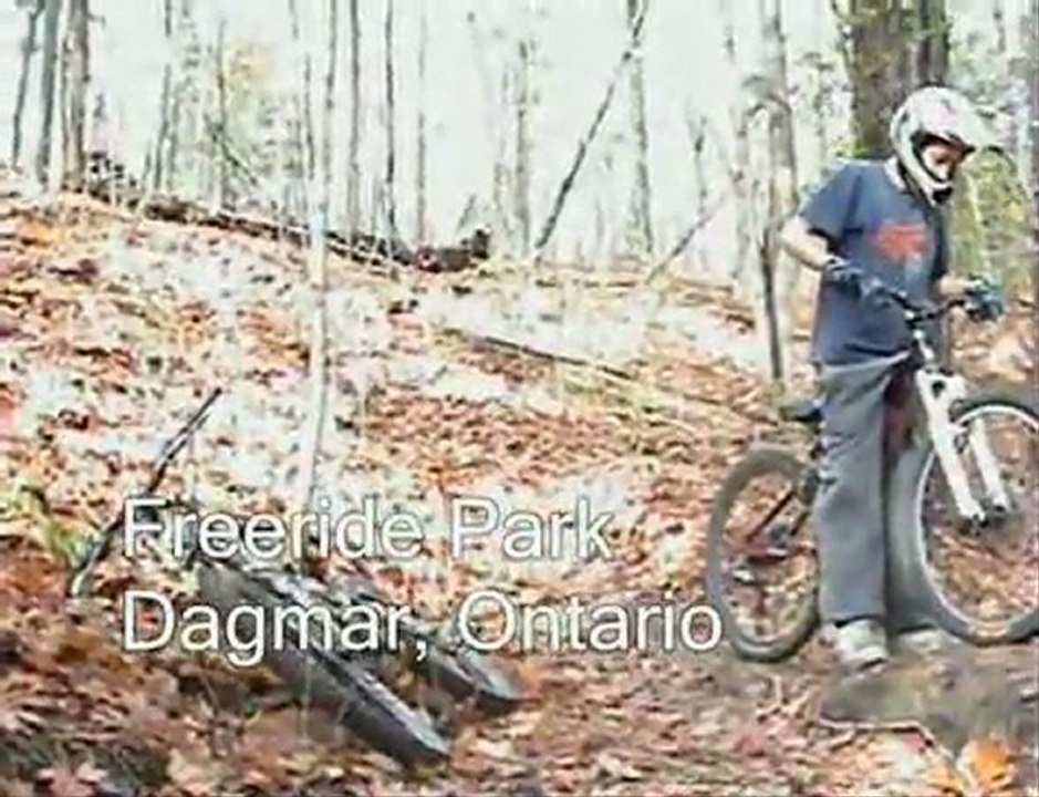 Intro section