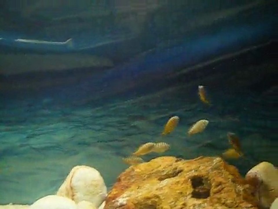 DSCF4021