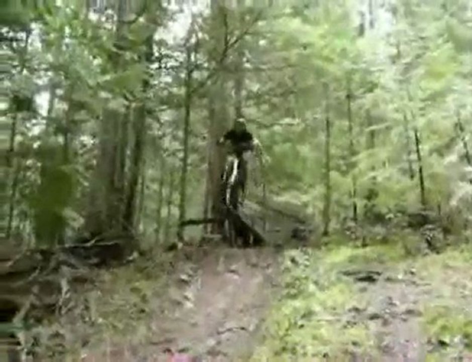 summer 2006