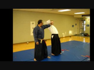 Nihon Bugei Aiki Soho