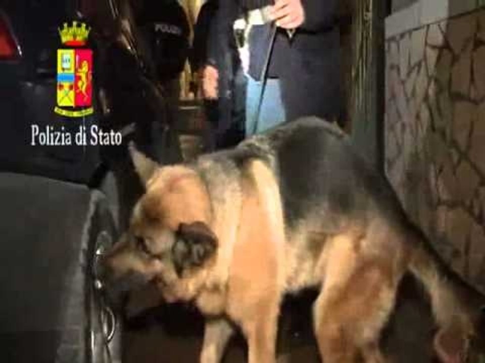 Crotone - 'Ndrangheta - Operazione Hydra