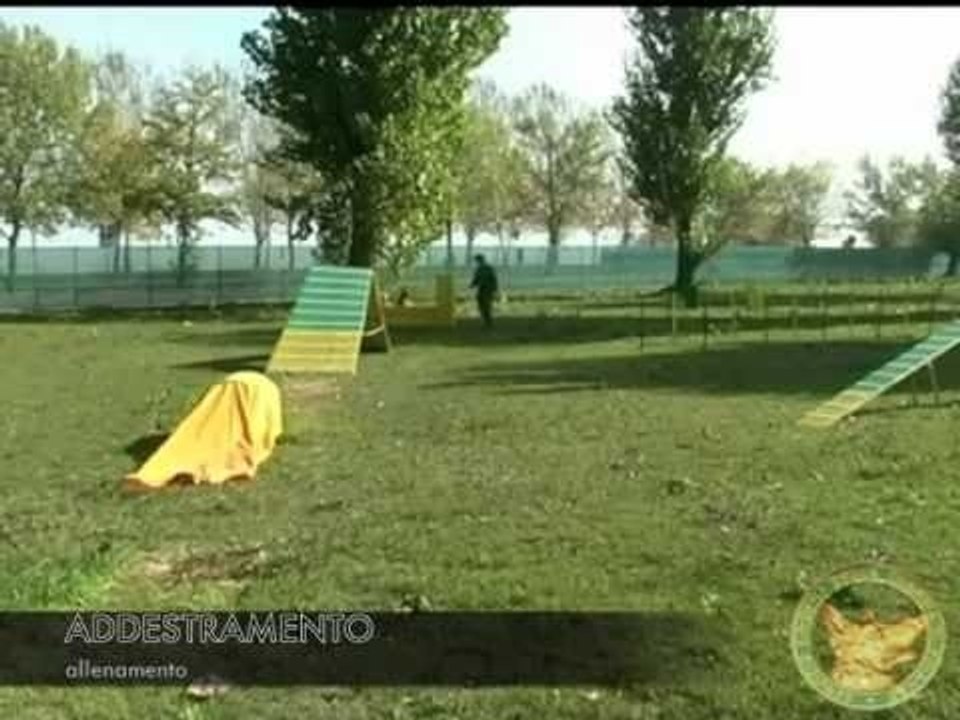 Gdf - Addestarmento cinofili