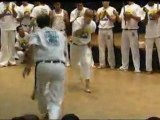 Cours de capoeira - les techniques