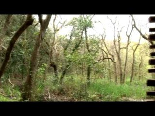 Campania - Il Parco archeologico di Cuma
